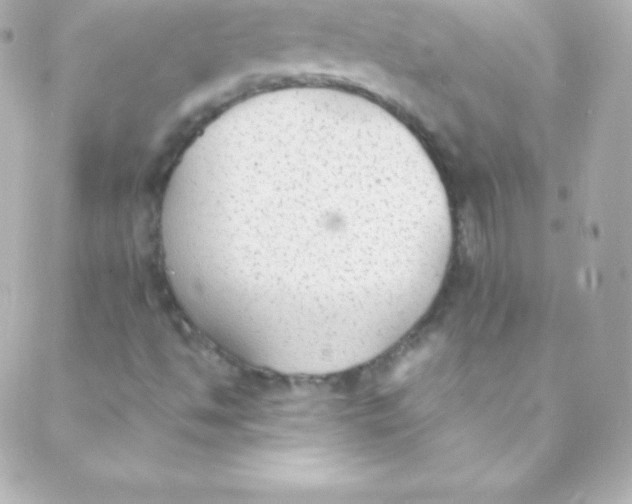 X0000088151494200705291409