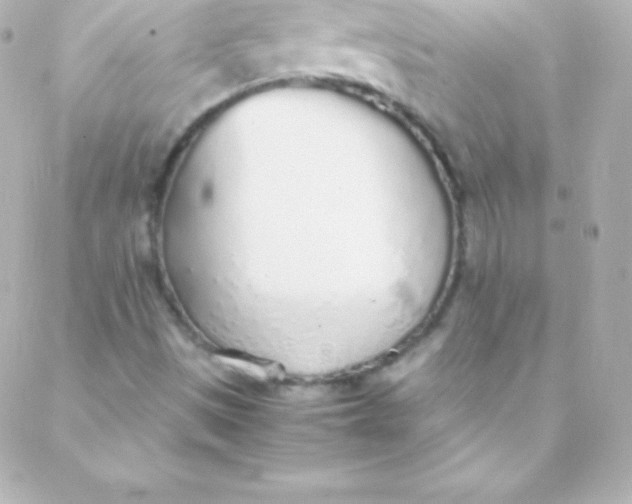 X0000088151497200705291409