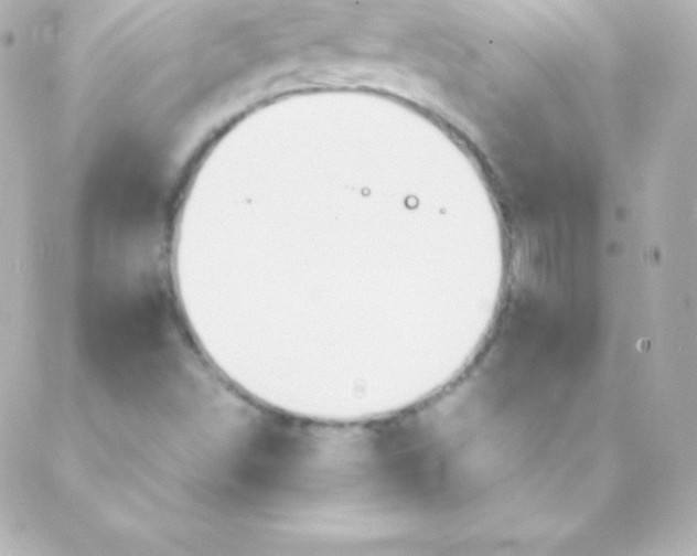 X0000088151498200705291409