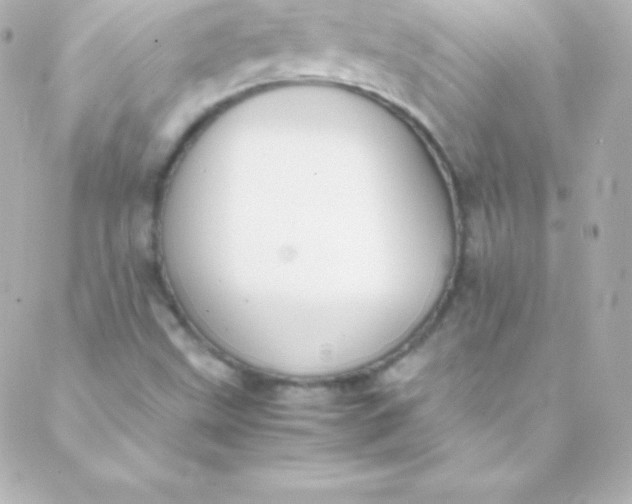 X0000088151499200705291409