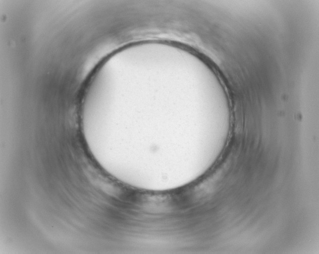 X0000088151501200705291409