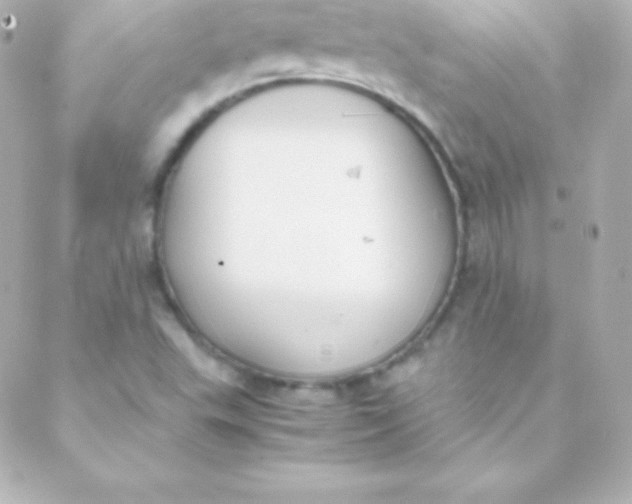 X0000088151503200705291409