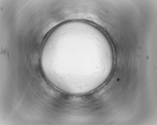 X0000088151505200705291410