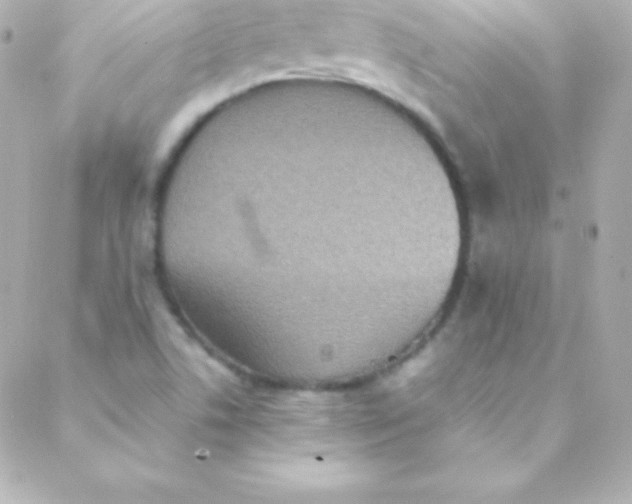 X0000088151506200705291410