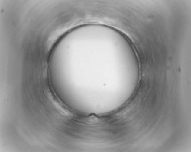 X0000088151507200705291410