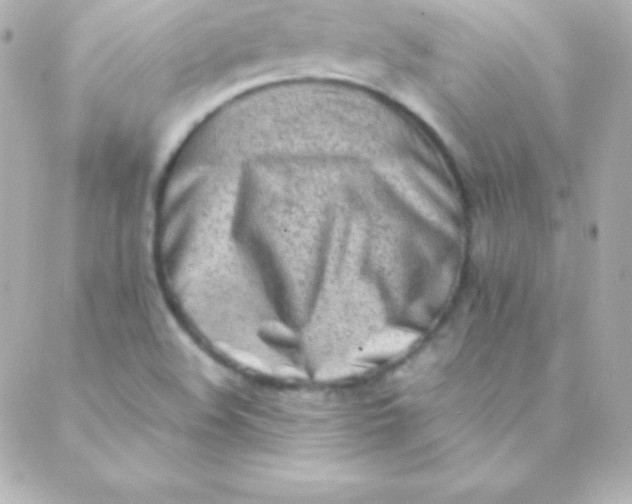 X0000088151508200705291410