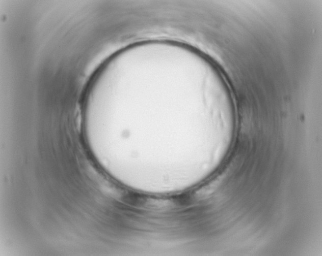 X0000088151509200705291410