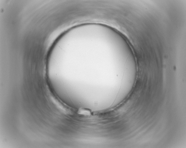 X0000088151511200705291410