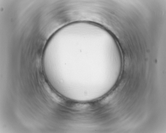 X0000088151513200705291410