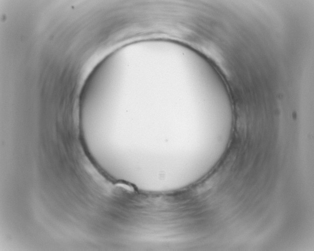 X0000088151516200705291410