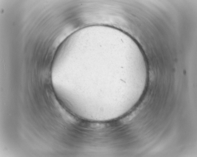 X0000088151521200705291410