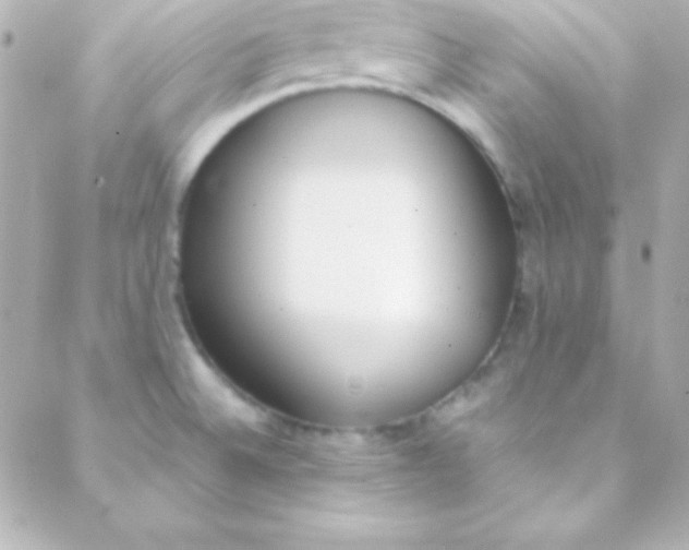 X0000088151524200705291410