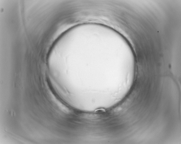 X0000088151525200705291410