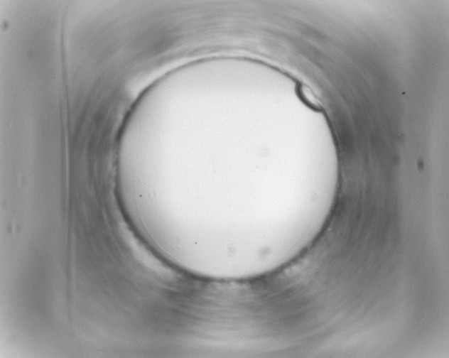 X0000088151526200705291410