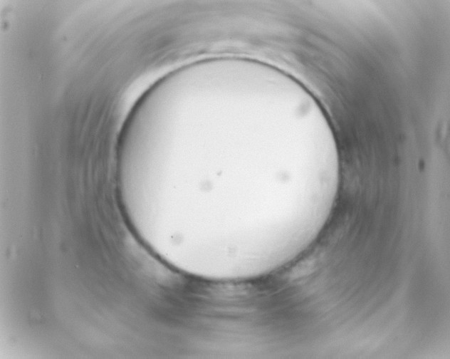 X0000088151527200705291410