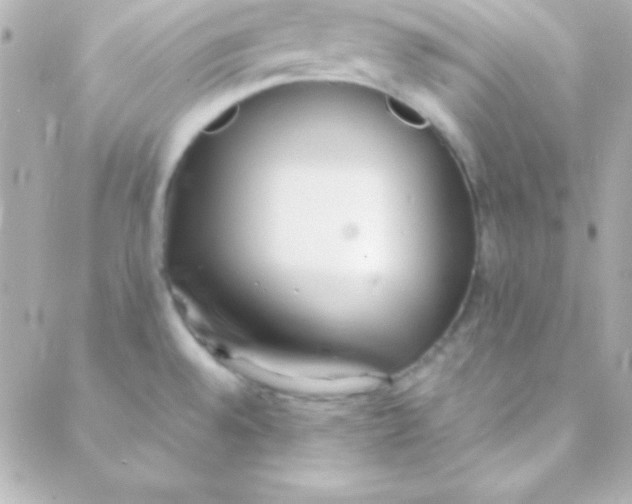 X0000088151528200705291410