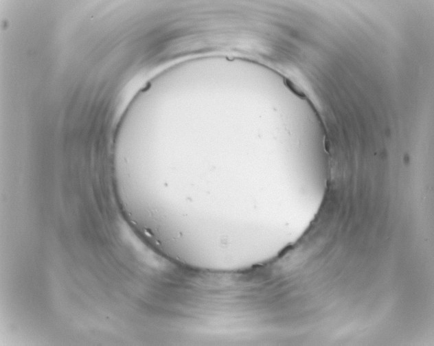 X0000088151532200705291410