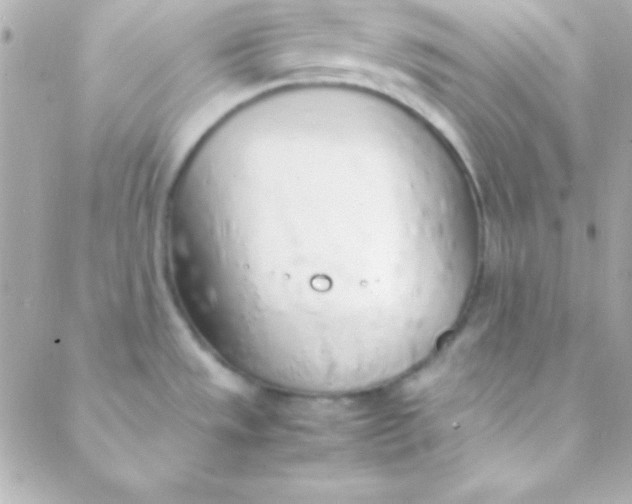 X0000088151533200705291410