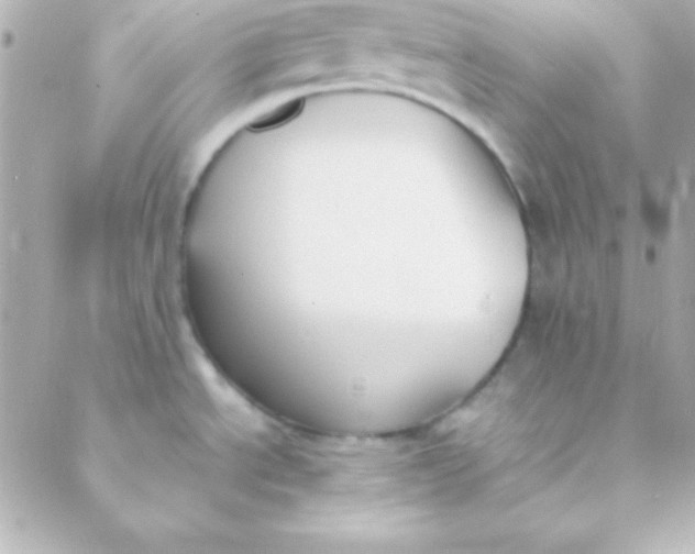 X0000088151534200705291410