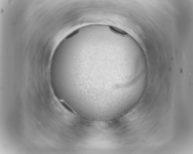 X0000088151536200705291410