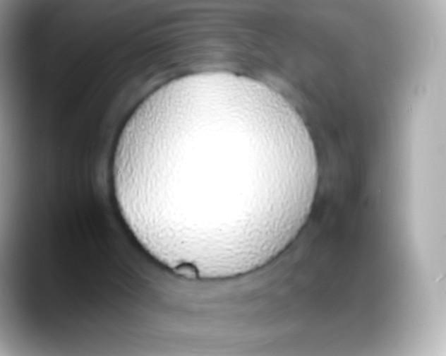 X0000088150002200706041403