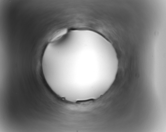 X0000088150005200706041403