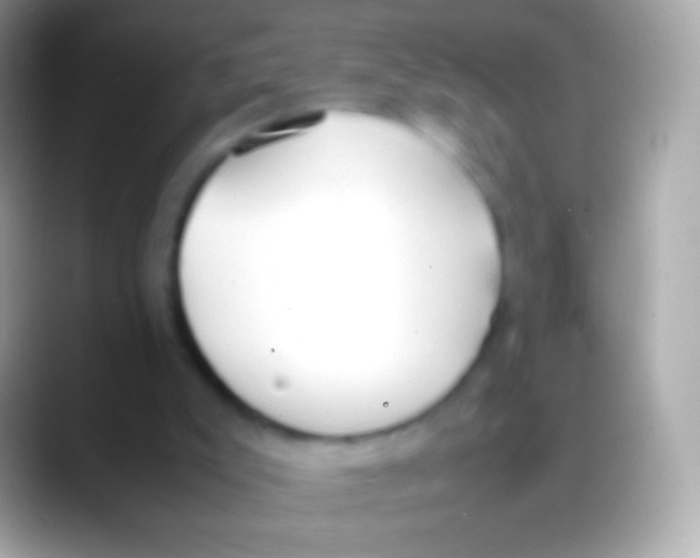 X0000088150007200706041403