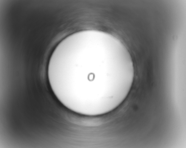 X0000088150008200706041403