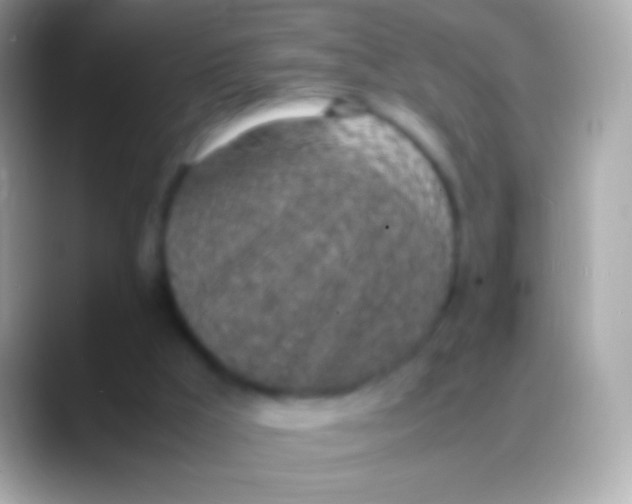 X0000088150009200706041403