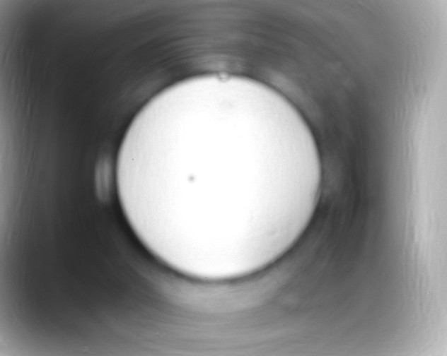 X0000088150014200706041403