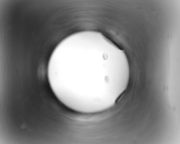 X0000088150021200706041403