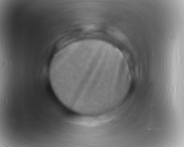 X0000088150029200706041403