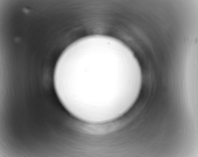 X0000088150030200706041403