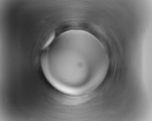 X0000088150031200706041403