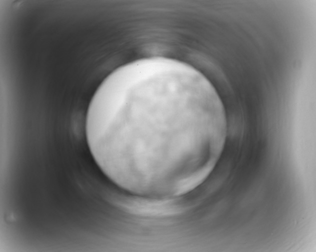 X0000088150036200706041403