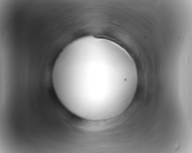 X0000088150037200706041403