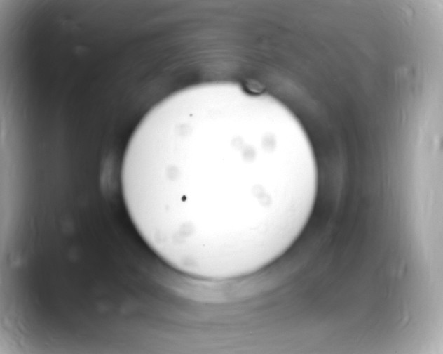 X0000088150038200706041403