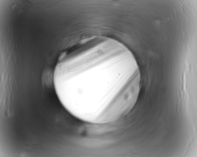 X0000088150041200706041403