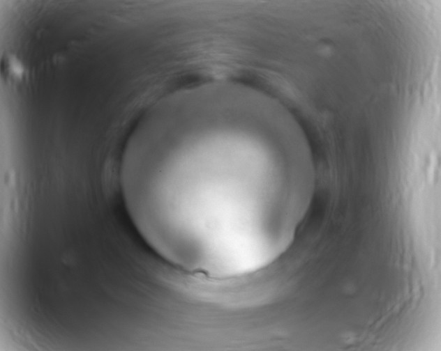 X0000088150043200706041402