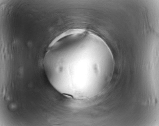 X0000088150045200706041402