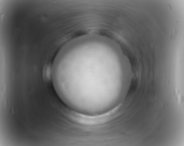 X0000088150047200706041402