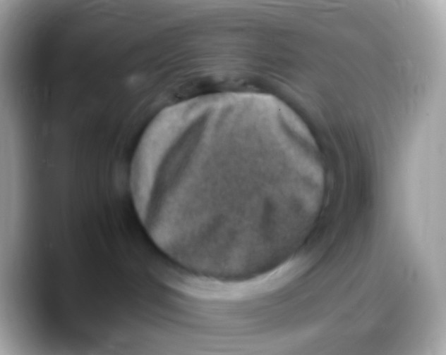 X0000088150048200706041402