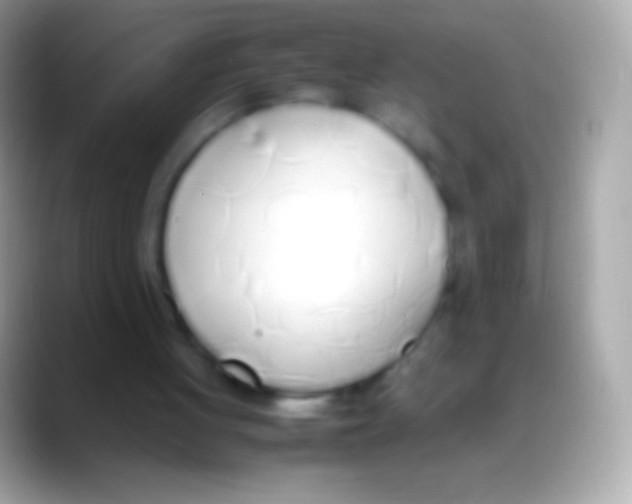 X0000088150051200706041402