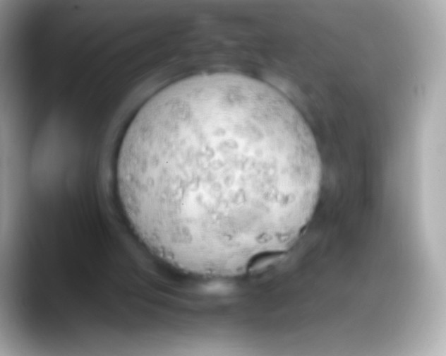 X0000088150053200706041402