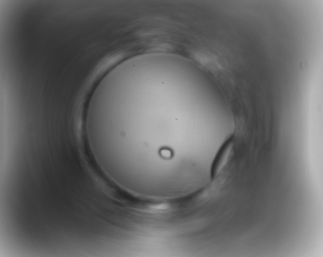 X0000088150054200706041402