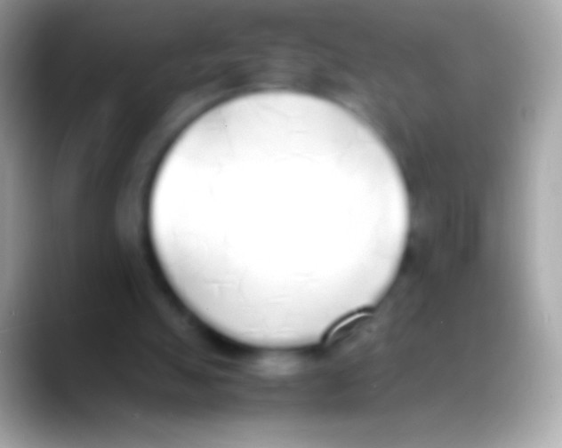 X0000088150055200706041402