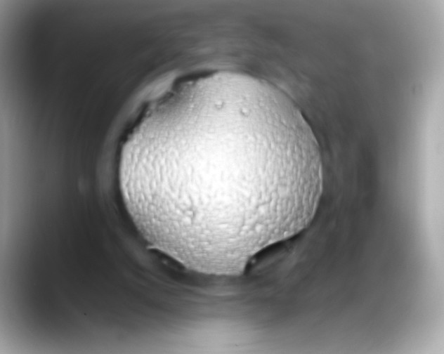 X0000088150056200706041402