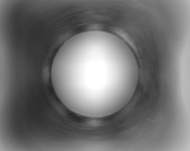 X0000088150057200706041402