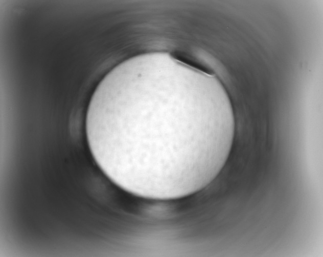 X0000088150058200706041402