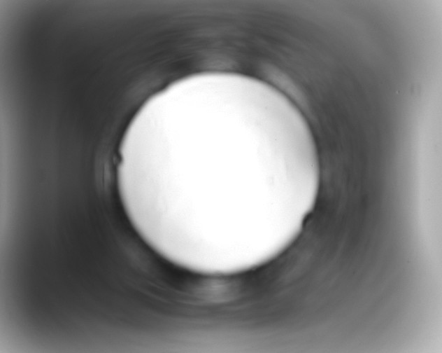 X0000088150059200706041402